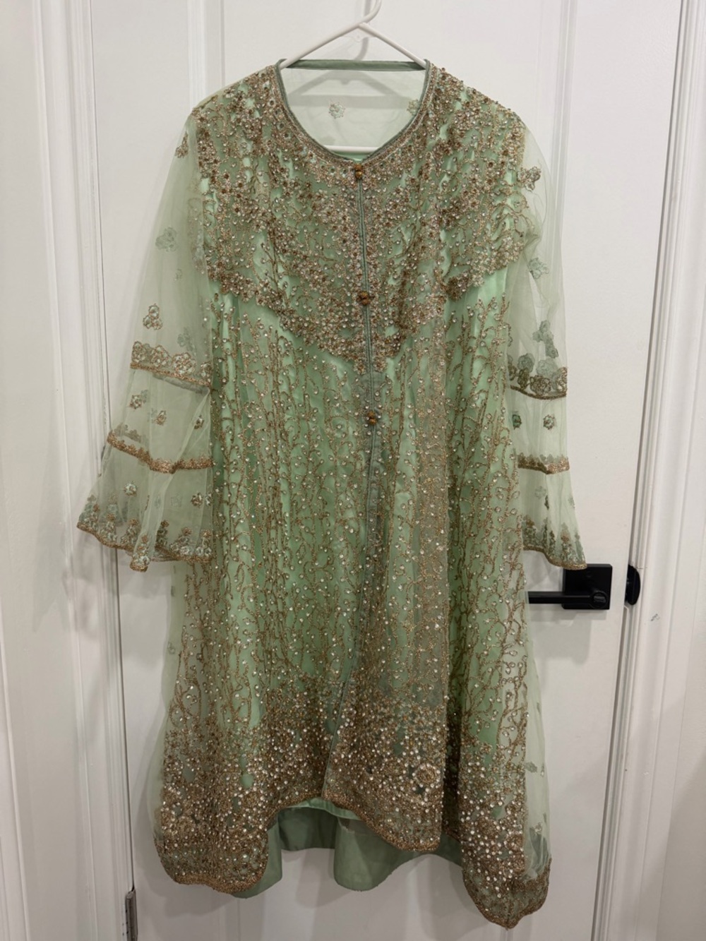 Pakistani Embellished Mint Green Party Dress with Gold Accents - Picture 5 of 7